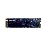 KingSpec 256 GB